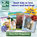 Teach kids to love nature and learning with Award-Winning Magazines from ShopNWF.org - just $19.95!
